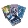 Bicycle Anne Stokes Unicorns