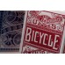 Bicycle Chainless