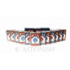 Bicycle 808 12-pack